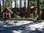 Cozy Hollow Lodge::Yahoo! Travel