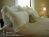 The Morning Glory Bed and Breakfast::BedAndBreakfast.com