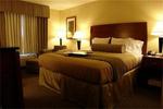Holiday Inn Express at Stadium::Priceline.com