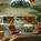 Ocean Place Resort and Spa::Priceline.com