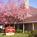 Residence Inn by Marriott Colorado Springs Central::ProfessionalTravelGuide.com
