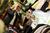 InterContinental Stephen F Austin::Orbitz