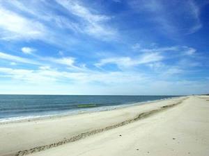 Web-stgeorgeislandbeach01