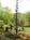Aska Lodge::BedAndBreakfast.com