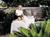 Ponte Vedra Inn And Club::Orbitz