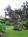 Volcano Garden Arts::BedAndBreakfast.com