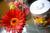 Ashton Woods Retreat::BedAndBreakfast.com