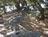 Palomar Mountain State Park from Yahoo! Travel