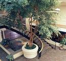 Best Western Lakeway Inn