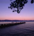 Gar Woods Grill and Pier Restaurant Restaurant