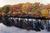 Holiday Inn Express And Suites Saco::Orbitz