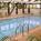 SpringHill Suites by Marriott::Travelocity.com