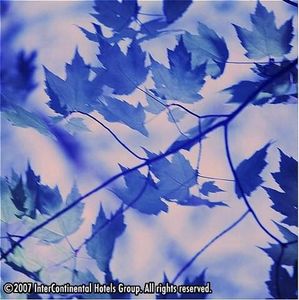 Web-080723d