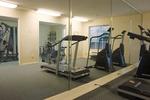 Best Western Inn And Suites