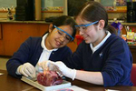 Tn-dissection