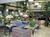 Hampton Inn & Suites::Hotels.com