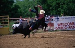 San Antonio Livestock Show and Rodeo