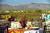 Carefree Resort and Villas::Orbitz