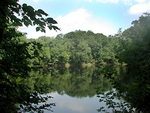 Tn-lake