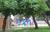 Bethune Park from Allison_branen