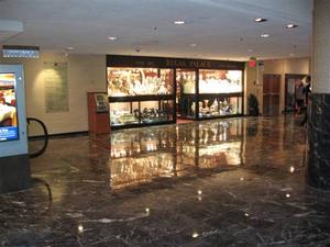 Web-marriott_marquis_new_york_42800_0_07302006_0907068676_500