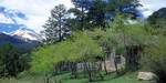 Tn-npr-img0046-600x300