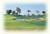 Talega Golf Club from Sarahn