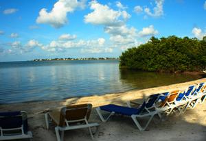 Web-15411-beach-1