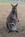 Kangaroo Conservation Center::Kangaroo Conservation Center