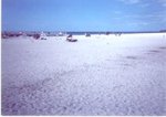 Manatee Public Beach