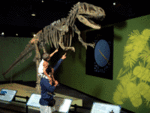 Miami Museum of Science and Space Transit Planetarium