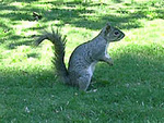 Curtis Park