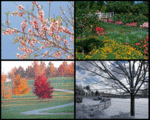 The Arboretum State Botanical Garden of Kentucky