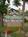 Taylor Street Bed & Breakfast::BedAndBreakfast.com