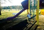 Fenton City Park