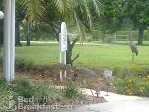 Perri House Bed and Breakfast Inn::BedAndBreakfast.com