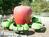 High Hopes Orchard::ThrillNetwork.com