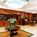 Marriott Dadeland Miami::ProfessionalTravelGuide.com