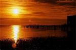 Tn-161586_other_01_f