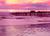 Sandcastle Inn::Hotels.com