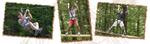 Adirondack Extreme Adventure Course