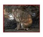 Racine Zoological Gardens