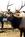 Best Western Sunridge Inn::ProfessionalTravelGuide.com