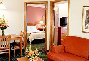 Web-slc_tpla-suite-1