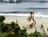 PGA National Resort and Spa::Hotels.com