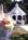 Oak Creek Manor::BedAndBreakfast.com
