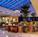 Hilton Alexandria Mark Center::Priceline.com