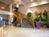 Best Western Mill Creek Inn::Orbitz