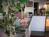 Americas Best Value Inn Holbrook::Travelocity.com