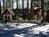 Cozy Hollow Lodge::Travelocity